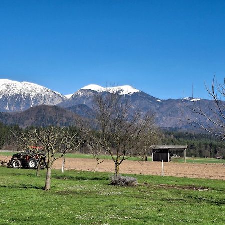 Apartma Ranc Luze Kranj Buitenkant foto