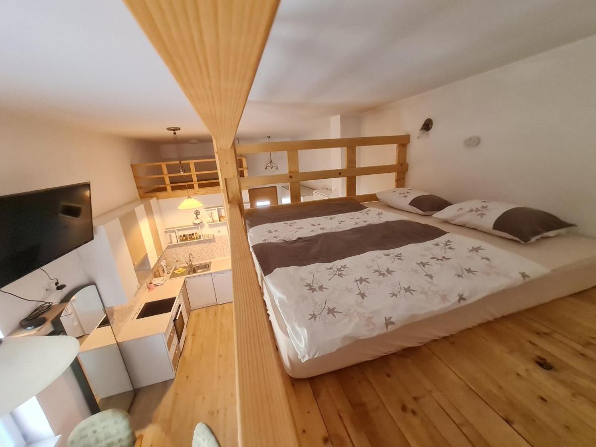 Apartma Ranc Luze Kranj Buitenkant foto